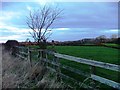 Fence Near Manor House Farm