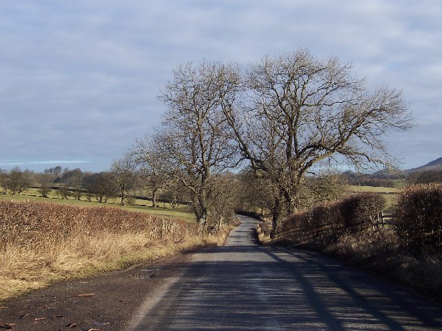 Lane between Hetton and Flasby