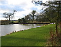 Duck Pond, Mitford Steads Farm