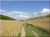 SE9336 : Swindale on the Wolds Way by Oliver Dixon