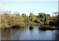 Old course of River Thames near Culham