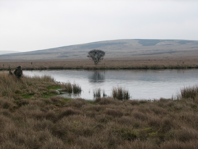 Crane Loch
