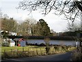 Thatched wall in Leckford