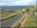 Roadside Cottage at Ardmore