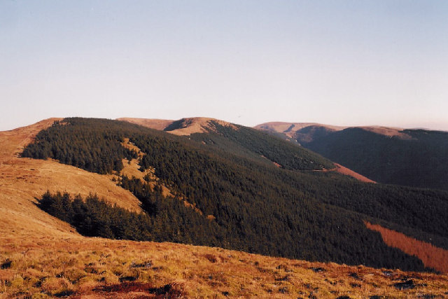 Dyfi Fforest hills