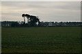 Looking south over farmland, from Redford