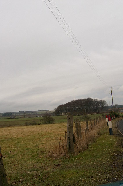 Looking over fields to tree covered mound at Greenlaw, on the A933.