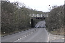 SK5592 : Railway Bridge by Michael Patterson