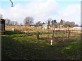 Allotments by the Ridgewaye