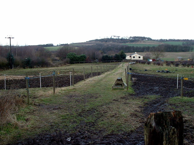 View along path from Town End Lane