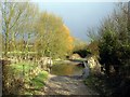 River Itchen, west of Alresford