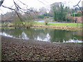 East Blatchington Pond, Seaford.