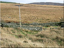 NR8558 : Old sheep fank at Gartavaich. by Johnny Durnan