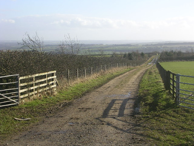Long Edge, between Burnhope and Sacriston
