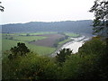 ST5296 : Wye Valley from Lower Wyndcliff Wood by Tony Teperek