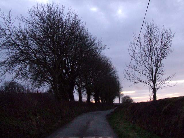 Dusk in the country lane