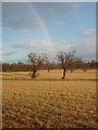 SU9571 : Rainbow, Windsor Great Park by David Hawgood