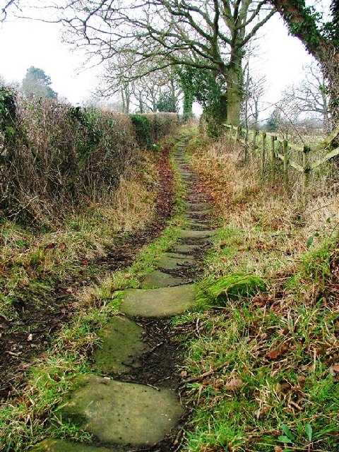 Public Bridleway From Newbiggin Hall Farm ...