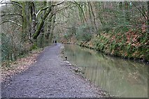 SX5258 : Cann Quarry Canal by Tony Atkin