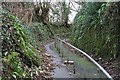 Steep Lane, Eggbuckland