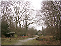 Winter in the Park Ground Inclosure, Clay Hill, New Forest