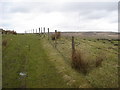 Moorland path off Matchmoor Lane