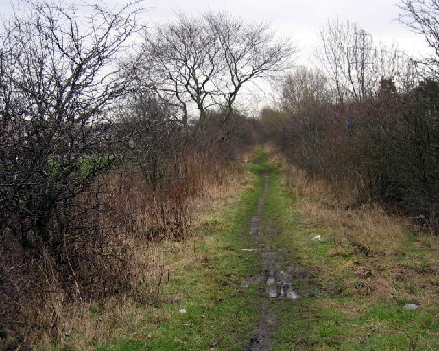 Footpath on the route of the Stockton to Darlington Railway