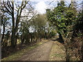SU6993 : Ridgeway near Watlington by David Ellis