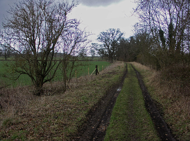 Oxfordshire Way near Pyrton