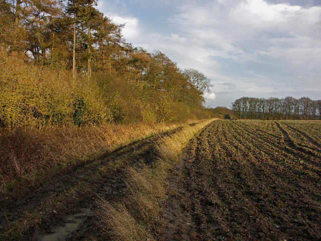 Farmland near Pyrton