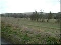 Kennet Valley, west of Manton