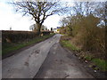 Brockham Hill Farm near Holybourne