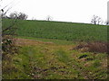 Entrance to a Turnip field