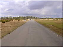 SU2412 : Road along former runway at Stoney Cross airfield, New Forest by Jim Champion