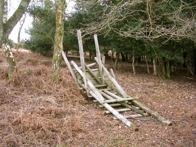 Collapsed deer stalking seat, Ocknell Inclosure, New Forest
