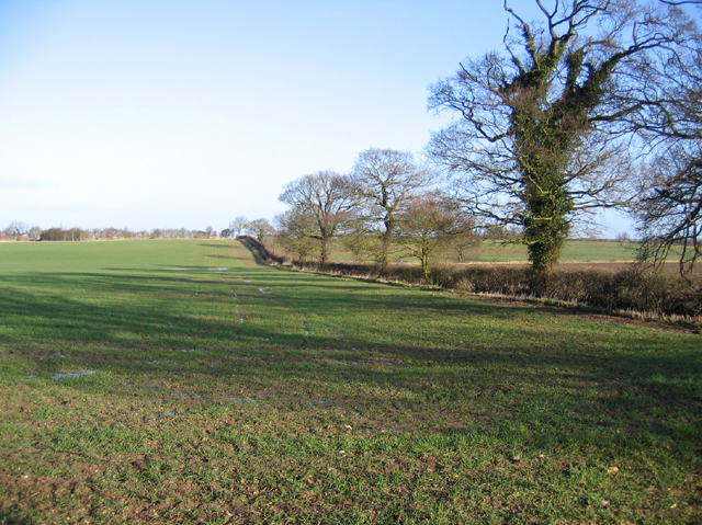 Farmland west of Gt Ryburgh, Norfolk © Rodney Burton cc-by-sa/2.0 ...