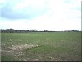 Fields near West Langdon