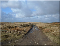 SD8320 : Pennine Bridleway, Cowpe Moss by michael ely