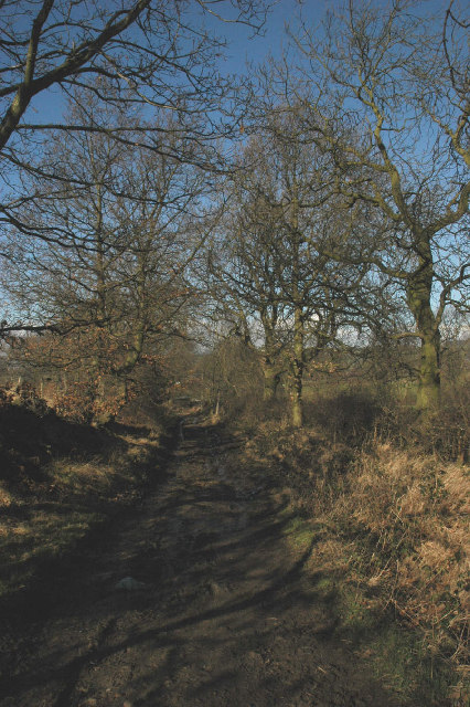 Burton Royd Lane, near Kirkburton