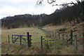 NH9647 : Farmland and trees near A939 by Iain Macaulay