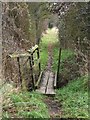 Footpath to Runwell