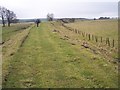 NZ0692 : Ewesley Curve, former Rothbury branch line, Northumberland by Ralph Rawlinson