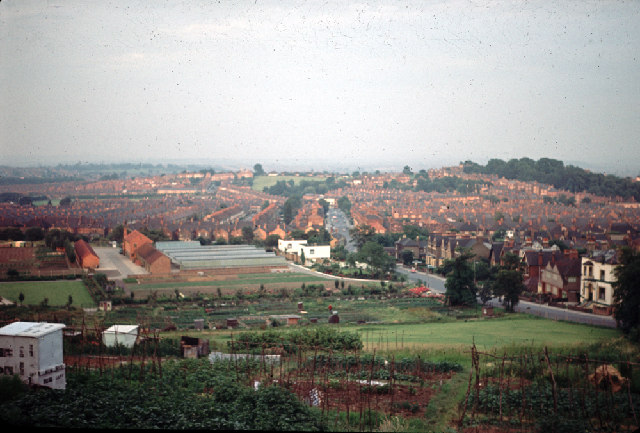 View from One Tree Hill c1965