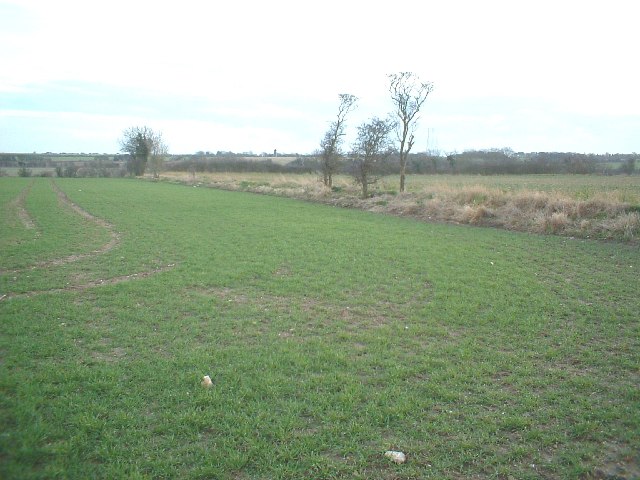 Fields near Guston