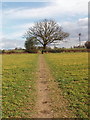 Footpath through crops, Horn Hill