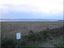 NY2062 : Campfield Marsh nature reserve by Phil Williams