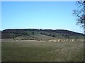 Abergele farmland