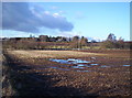 Wet Field with Turin House Behind