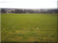 Grassy Field Above Mains of Balhall