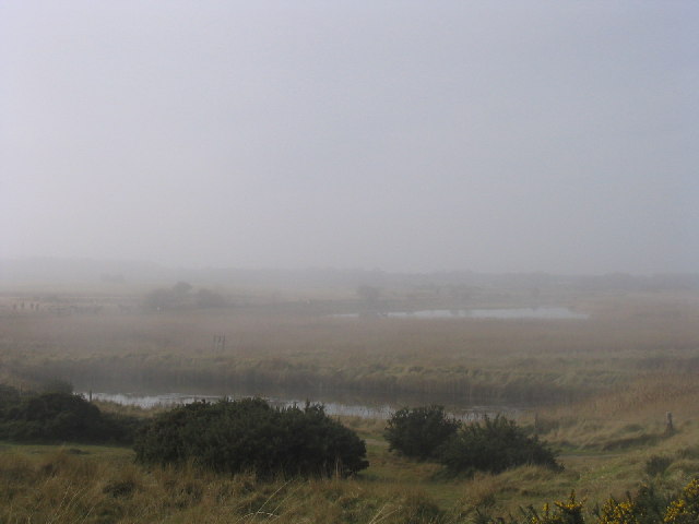 Minsmere in the mist